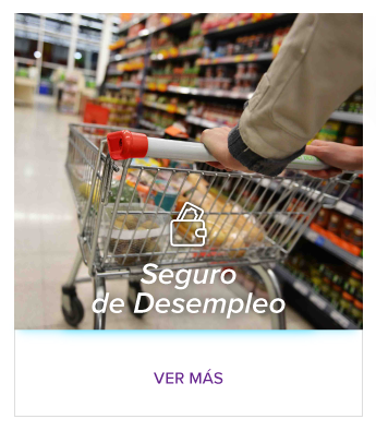 Seguro de consumo garantizado